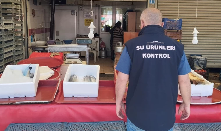 Beyşehir'de balık işleme tesisleri ile satış yerleri denetlendi