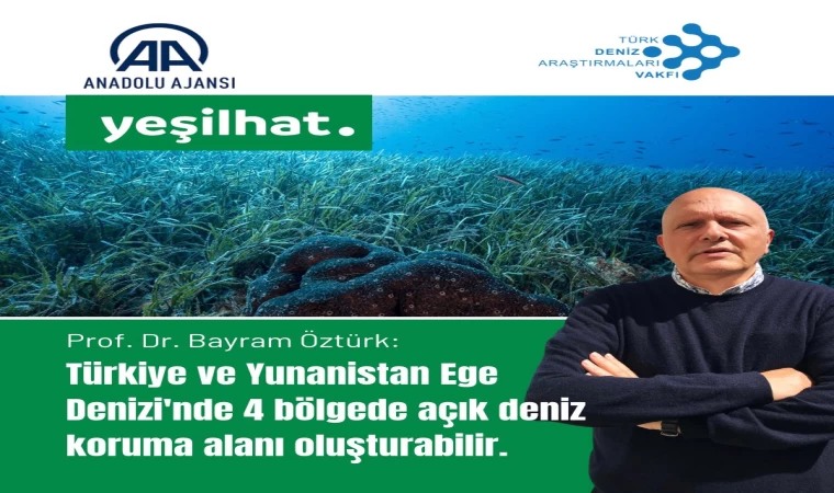 TÜDAV'dan İklim değişikliği ve kirliliğe karşı Ege Denizi’nde ortak koruma alanları önerisi
