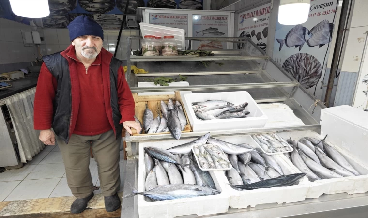 Samsun'da olumsuz hava koşulları nedeniyle balık tezgahları boş kaldı