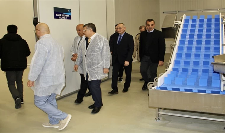 Sinop'ta kurulan balık işleme, şoklama ve depolama tesisi hizmet vermeye başladı |Balık Haber - Balık TV