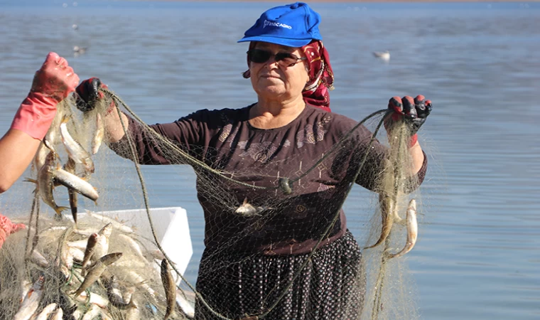 Kahramanmaraşlı kadın balıkçılar, ağlarını su altındaki eski mahallelerinde atıyor