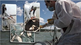 2 Ton Balığa El Konuldu