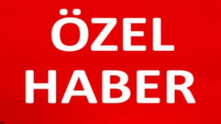 3000 Kasa Balığı Denize Geri Saldı