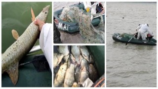 Büyükçekmece Gölü'nde Yasadışı Ticari Balık Avcılığı Yapanlara Yönelik Denetim