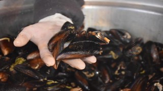 Kabuklu deniz mahsulleri aşırı tüketilirse kansere sebep olabilir