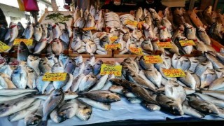 Kısıtlamadan muaf tutulan balıkçılar müşterilerini bekliyor