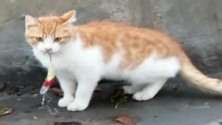 Selmin Sefa : "Olta Balıkçıları daha duyarlı olmalı"