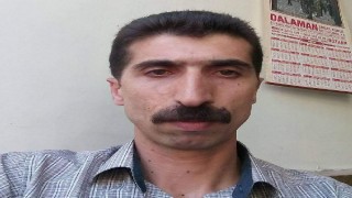 'Balon balığından ölüm' iddiasına soruşturma