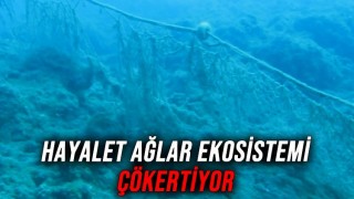 Denizdeki 'hayalet ağlar', 600 yıl 'avlanıyor'