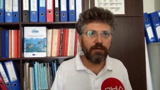 Doç .Dr. Tonay: Balık azalmasının suçlusu yunuslar değil