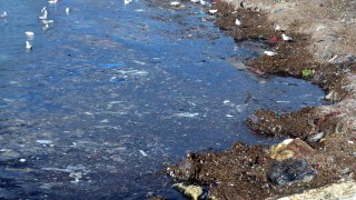 Fırtına, atıkları Avcılar sahiline taşıdı