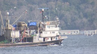 Gırgır teknelerine "BAGİS" ile sıkı takip