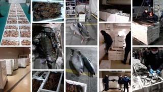 Gürpınar denetiminde 8 Ton Su Ürününe el konuldu