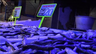 Hamsi avı yasağı uzadı, tezgahları farklı balıklar süsledi