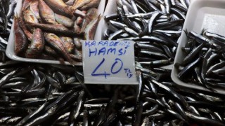 Hamsinin kilosu 40 liraya yükseldi