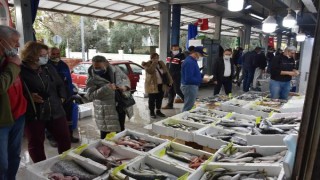 Marmarislilerin av yasağına giren hamsiye talebi arttı