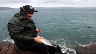 Olta balıkçıları, lodosu fırsata çevirdi