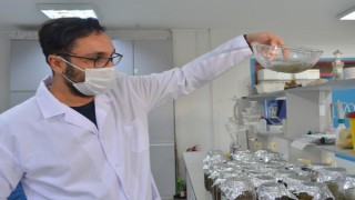 Paketli gıdalarda 'mikroplastik' tehlikesi