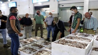 Farklı illerden balıkçılar Samsun'daki mezatta buluşuyor