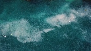 İstanbul Boğazı'nda denizanası istilası