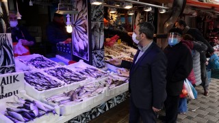 Karadeniz'de istavrit bolluğu