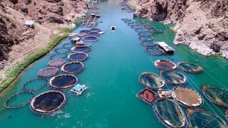 Kaymakam Akbulut, esnaf ve güvenlik güçlerini ziyaret etti