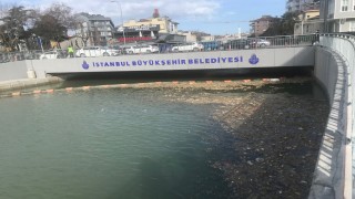 Kurbağalıdere'de su tekrar kirlendi