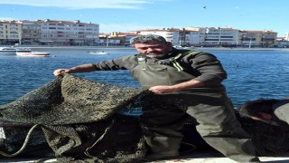 'Marmara'daki deniz salyasına kirlilik ve deniz suyu sıcaklığı neden oluyor'