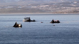 Sinop'ta ağlar istavrit ve mezgit için denize bırakılıyor