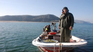 Teknesiyle yarışan yunusları görüntüledi