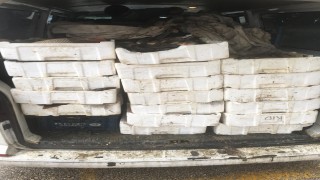 800 kilo kaçak sazan avına 5 bin TL ceza