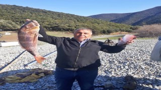 Amatör balıkçı oltasıyla 7 kiloluk sinarit avladı