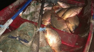 Bilecik'te kaçak balık avlayan 3 kişi hakkında işlem yapıldı