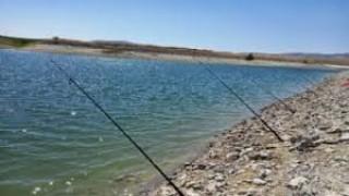 Bozuk balık satmaya çalışanlara ceza kesildi