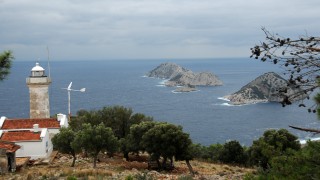 Caretta carettaların üreme alanı 'kesin korunacak hassas alan' ilan edildi