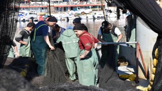 Tekirdağ'da deniz salyası, balıkçılara geçit vermedi