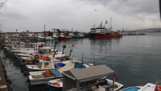 Tekirdağlı balıkçılar, teknelerine davetsiz binen kediyi denizin ortasında buluştukları sahibine teslim etti