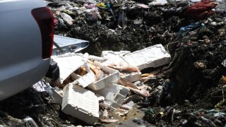 Depo baskınında, avlanması yasak 1250 kilo sazan ve yayın balığı ele geçirildi