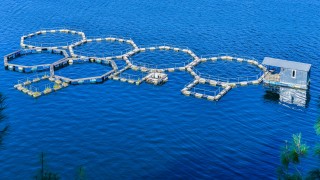 EİB - BM 2022 yılını "Balıkçılık ve Su Ürünleri Yılı" ilan etti