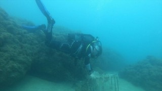 Hatay'da yasa dışı balık avlayan 2 kişiye 25 bin lira ceza verildi