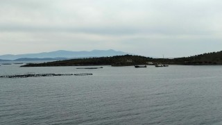 Karaburun’da balık tesisine 'kirlilik' tepkisi