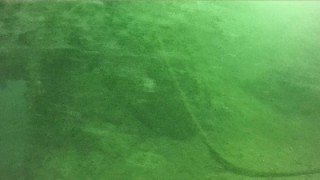 Marmara'nın dibini tehdit etmeye başladı; 'Salya' su altı kamerasıyla görüntülendi