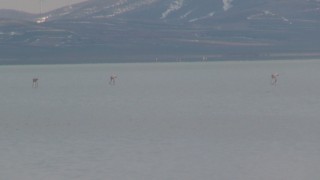 Seyfe Gölü'nde su seviyesi arttı