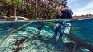 'Şifalı' diye satılan köpek balığı etinde cıva tehlikesi