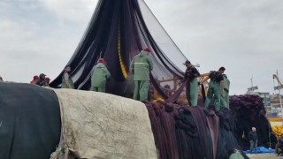 Sinoplu balıkçılar, sezonu erken kapattı