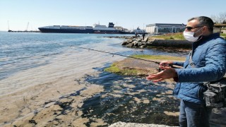 Tuzla sahilini deniz salyası kapladı