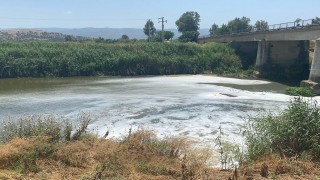 Büyük Menderes Nehri'nde tedirgin eden kirlilik