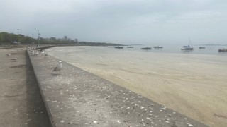 Caddebostan ve Fenerbahçe sahillerini deniz salyaları sardı