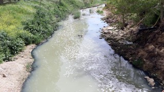 Çimendere'de toplu balık ölümleri tedirgin etti