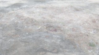 Deniz salyasıyla gelebilecek büyük tehlike